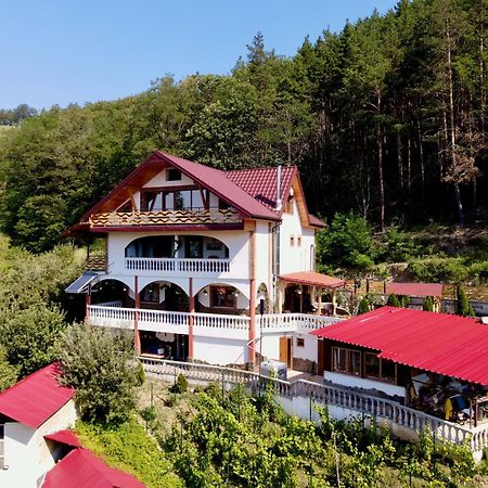 Vila Victoria Pangarati Kültér fotó